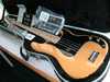Fender USA American Standard 1.jpg